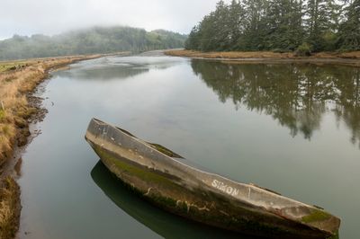 Foggy Morning