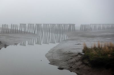 Pilings in the fog