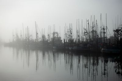 Newport fishing boats