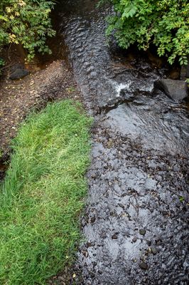 South Fork of the Alsea