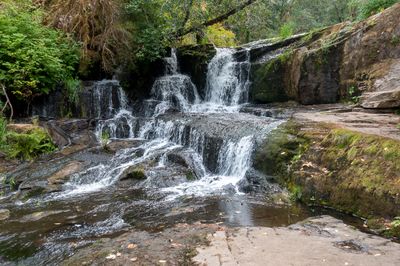 Alsea Falls
