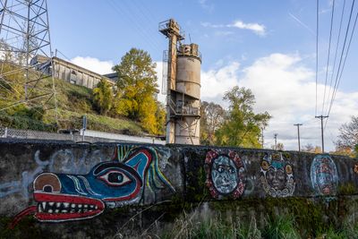 SC-15 Animals watching the cement factory