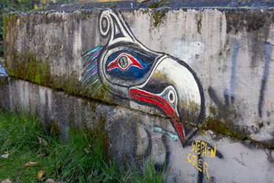SC-16 fishbird