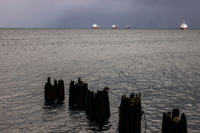 sunlit ships