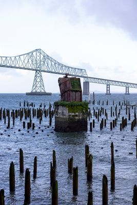 Bridge still life