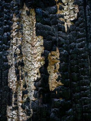Texture and contrast