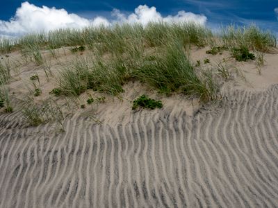 Zebra dunes