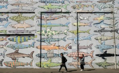 Comic sharks