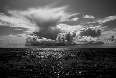 Open Pacific