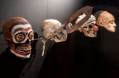 human skulls (Papua New Guinea)