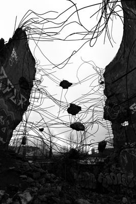 Suspended animation