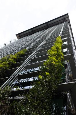 Climbing Green