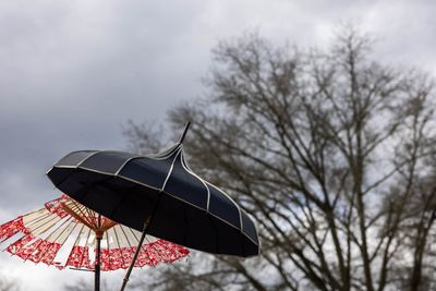 Umbrellas high