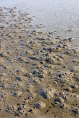 mud volcanoes