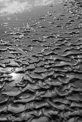 sand ripples