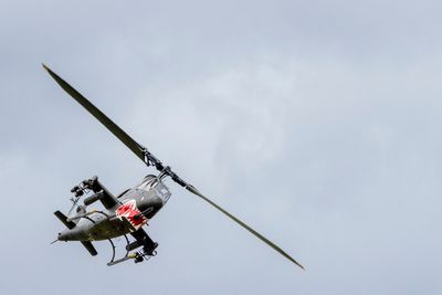 Cobra
