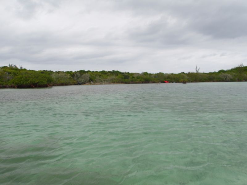 100_0017.JPG