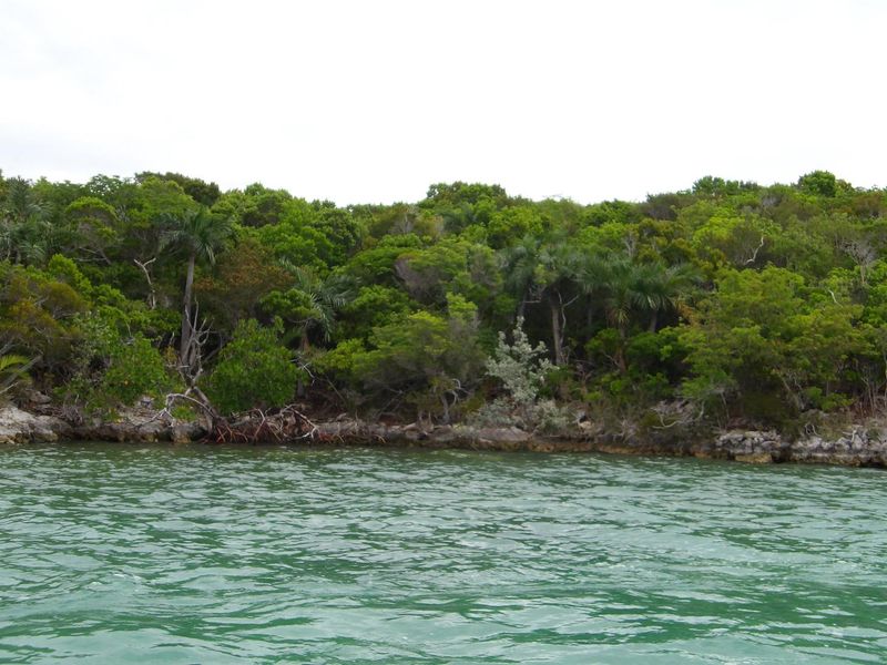 100_0042.JPG