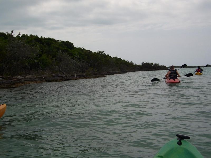 100_0043.JPG