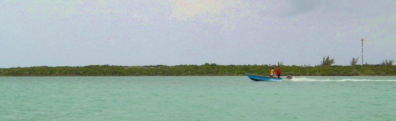 100_0050.JPG