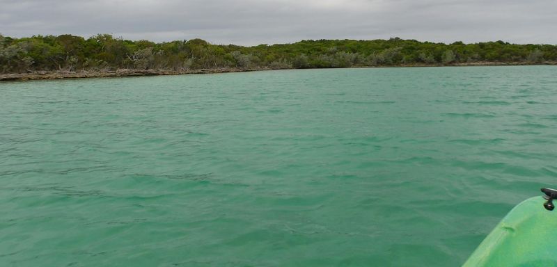 100_0059.JPG