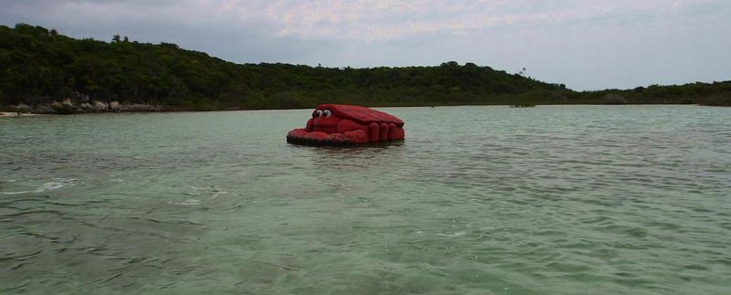 100_0061.JPG
