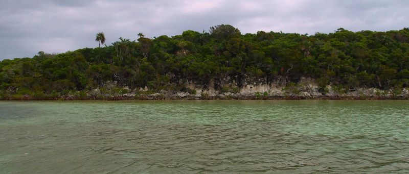 100_0064.JPG