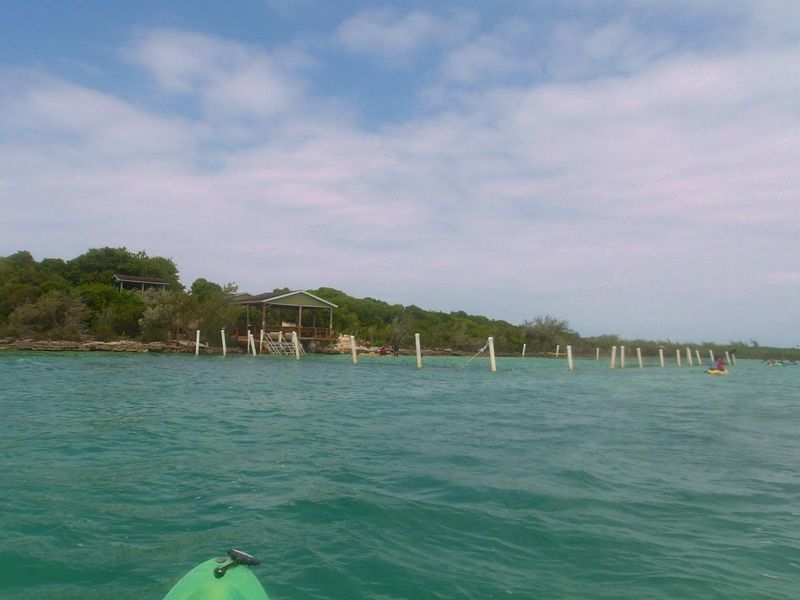 100_0115.JPG