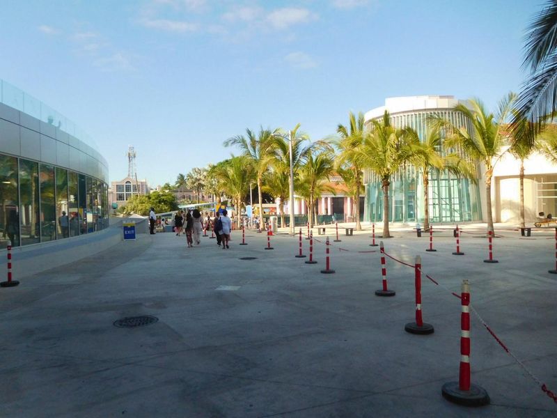 DSCN4672.JPG