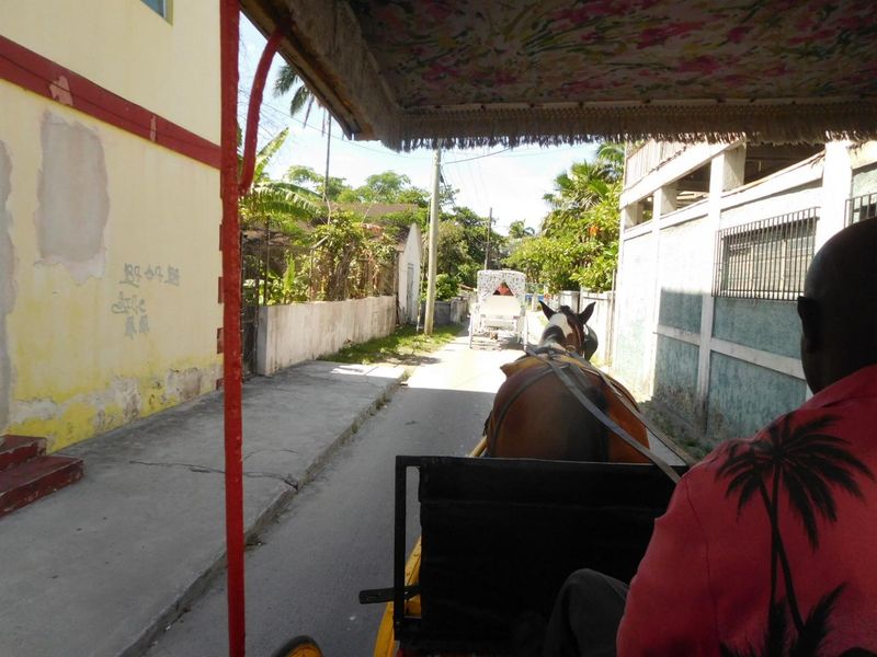 DSCN4750.JPG