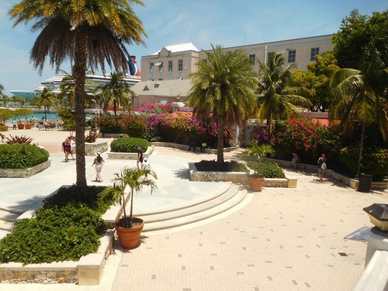 DSCN4779.JPG