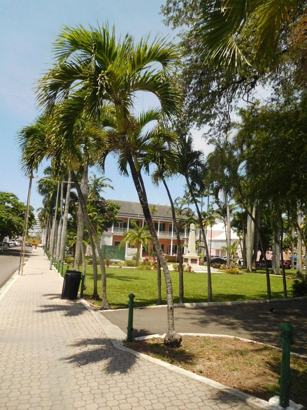 DSCN4795.JPG