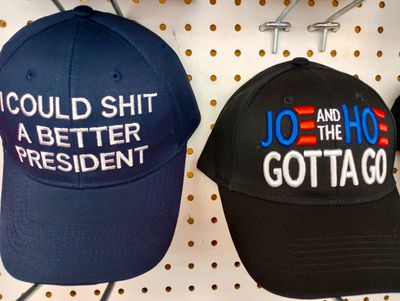 I-could-shit-a-better-president.jpg
