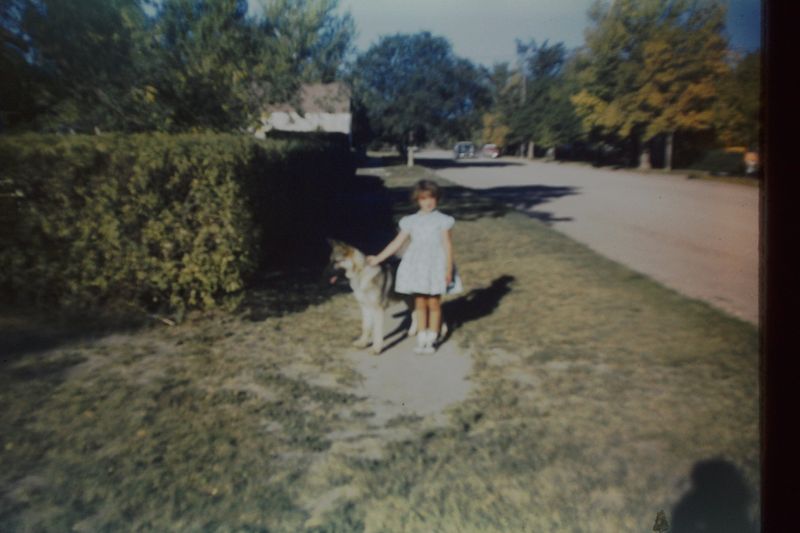 PICT0065.JPG