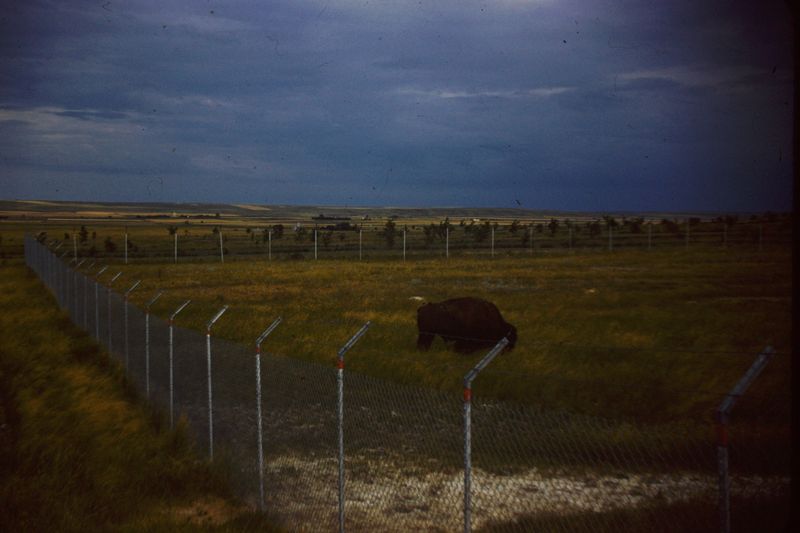 PICT0159.JPG