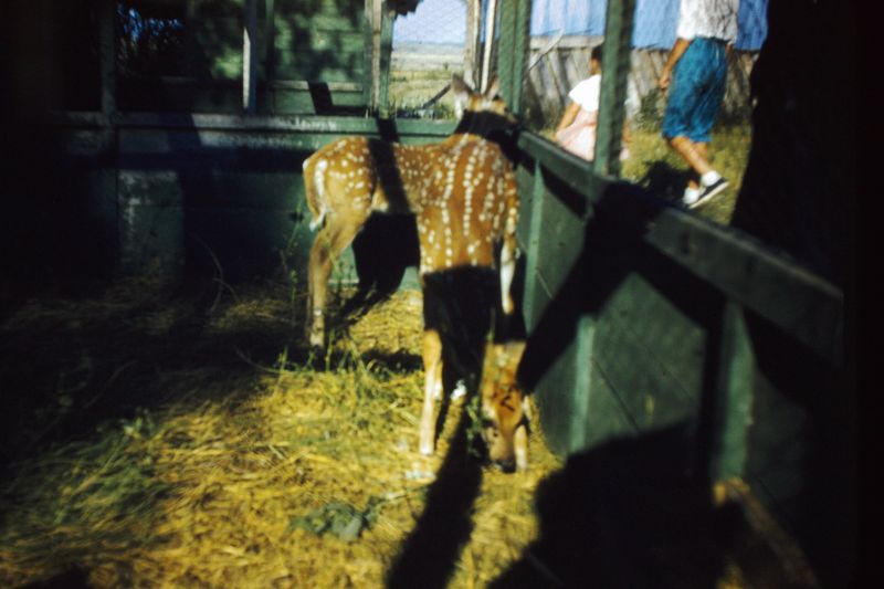 PICT0160.JPG