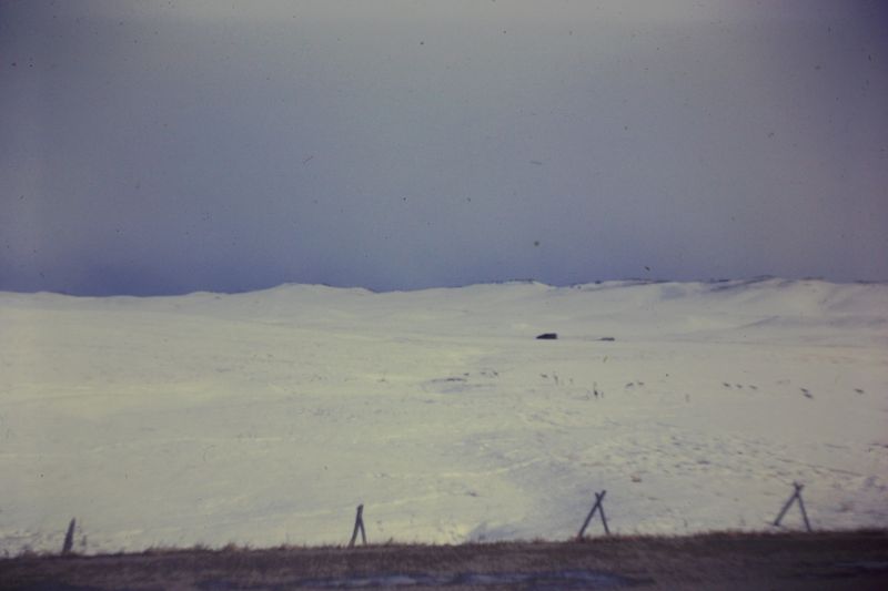 PICT0188.JPG