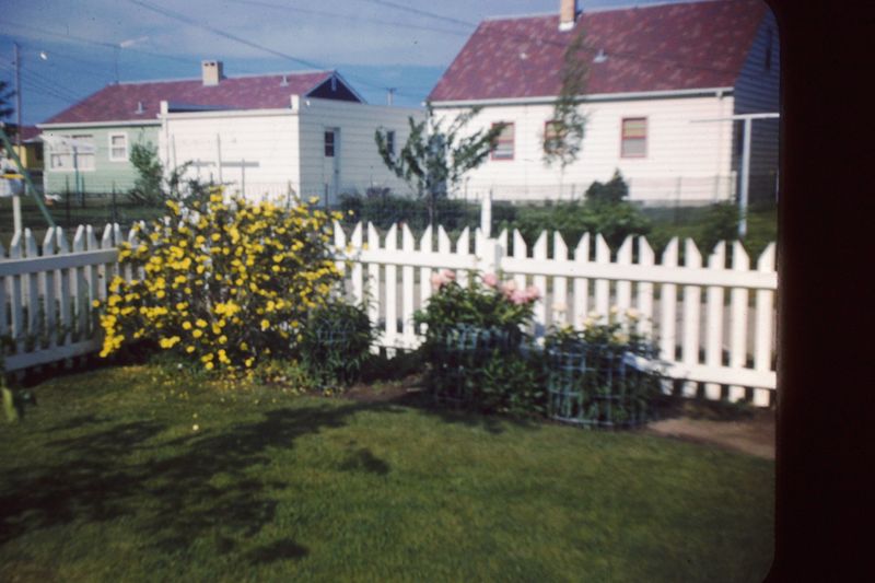 PICT0207.JPG