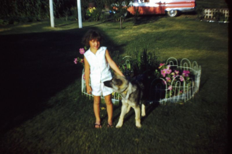 PICT0208.JPG
