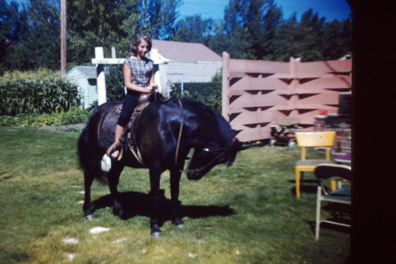 PICT0213.JPG