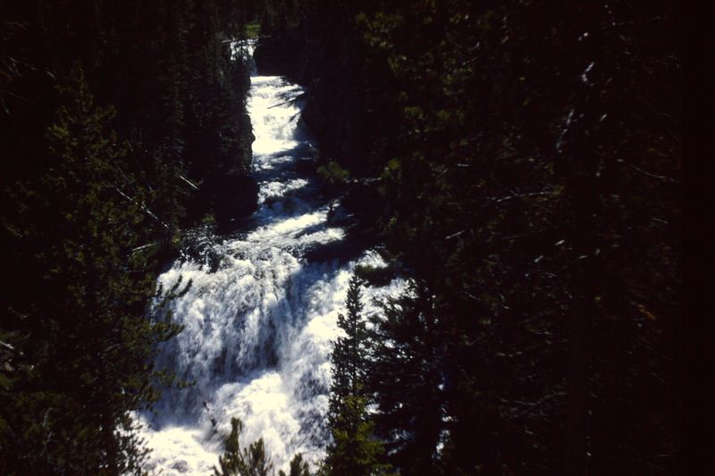 PICT0230.JPG