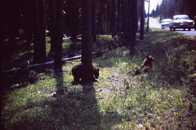 PICT0231.JPG