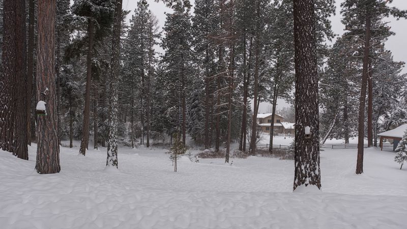 Test - Fujifilm GF 30mm F3.5 R WR