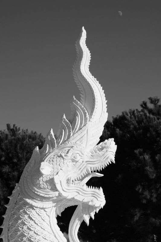 DSCF0463.jpg