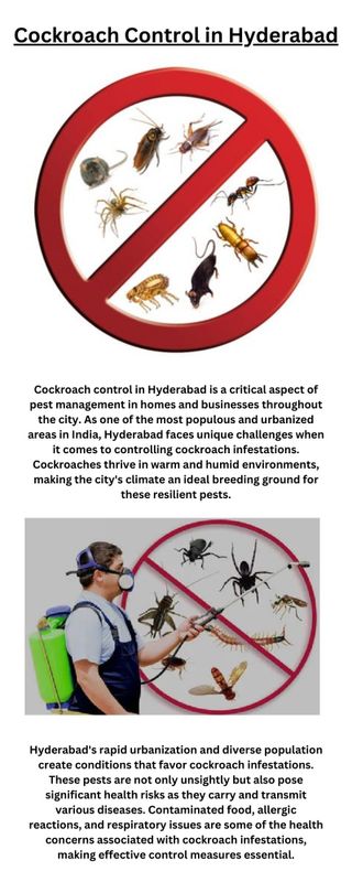 Cockroach Control in Hyderabad - 1