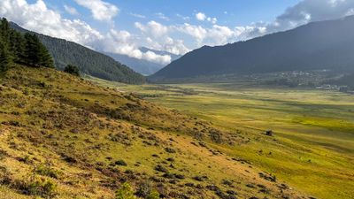 Phobjika valley is the place where black neck cranes move from Tibet to spent winter time.