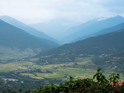 Punkha Valley in the Morining