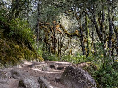 Way to the Taktshang Monastery