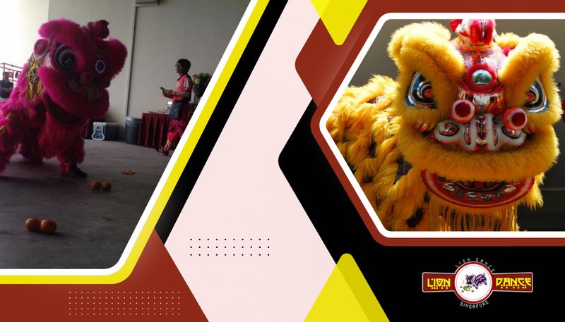 Lion Dance Singapore