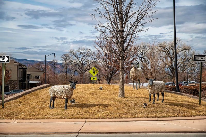 Sheep roundabout.jpg